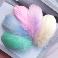 100X Floating Goose Feather