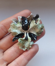 Vintage Royal Crown Derby