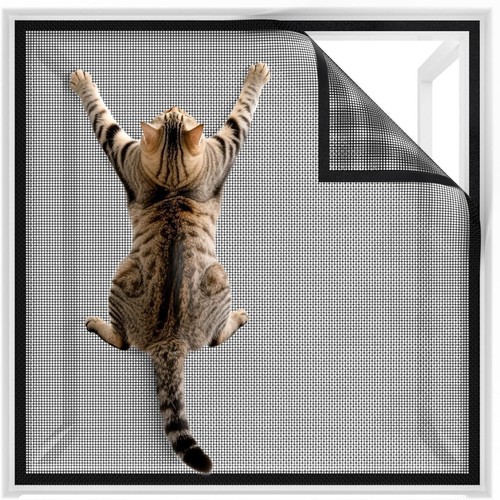 Window fly screen - window, cat