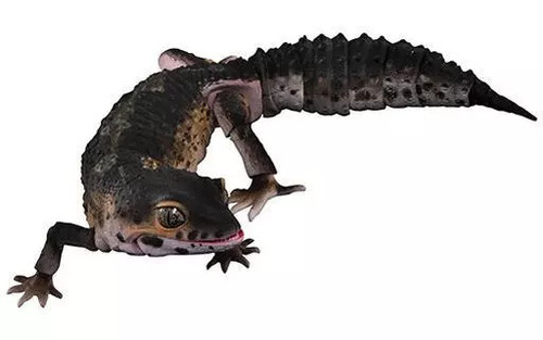 Creature encyclopedia advance - creature,