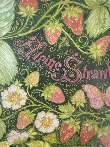 Vtg 1970s gift wrap - vtg, paper