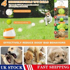 Dog Automatic Ball Launcher