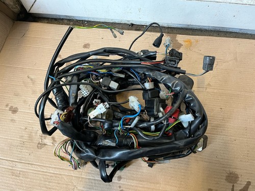 Aprilia rsv1000 tuono wiring - aprilia,
