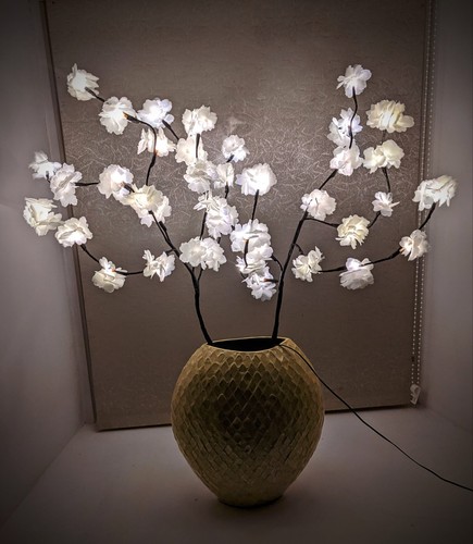 White blossom twig branch - white,