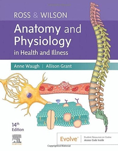 Ross wilson anatomy - (14th), &