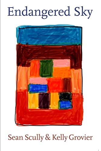 Endangered sky sean scully - endangered,