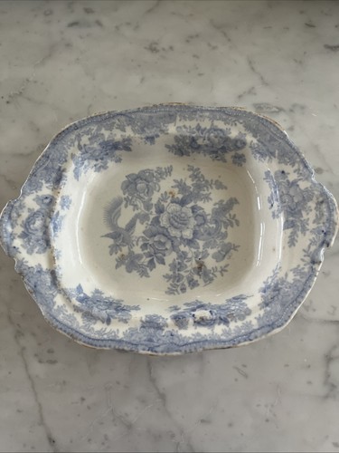Vintage asiatic pheasants - vintage,