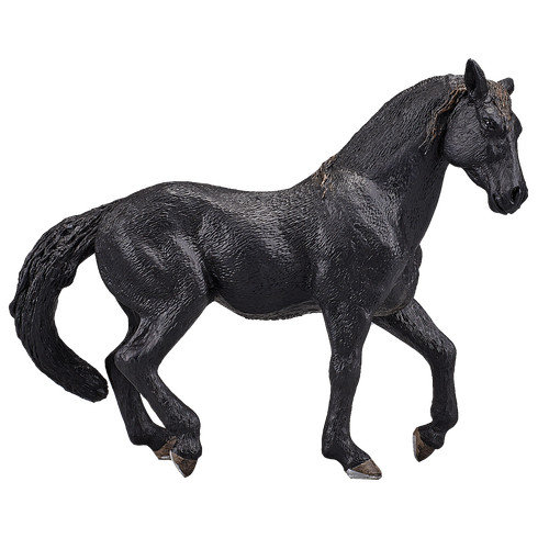 Mojo andalusian horse - mojo,