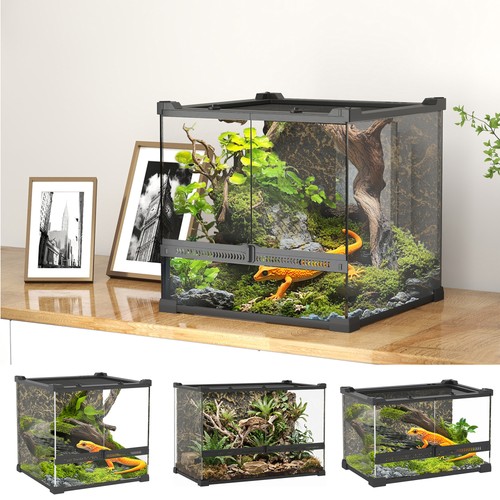 Glass terrarium with - terrarium, stone