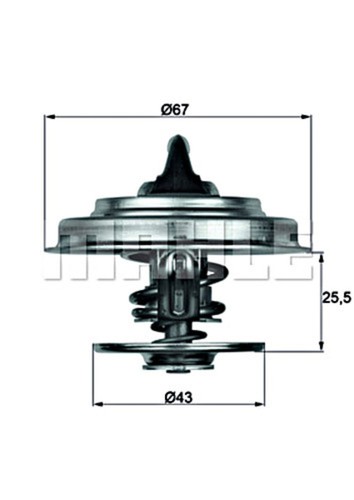 Coolant thermostat for - for, iveco