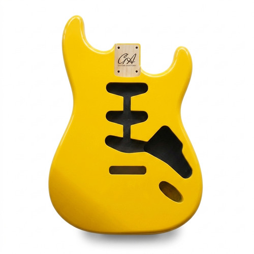 Stratocaster guitar body - guitar,
