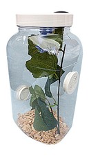  Praying Mantis,Stick Insect,Vivarium.Cage,Enclosure NEW STYLE UNIQUE VENTS