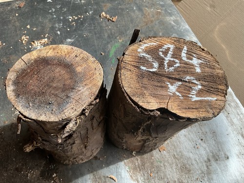 Yew rounds round - yew,yew, rounds,round