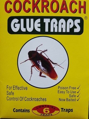 Cockroach glue traps - easy, safe