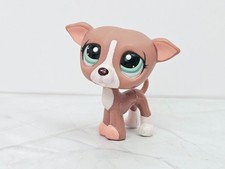 Littlest Pet Shop #1585