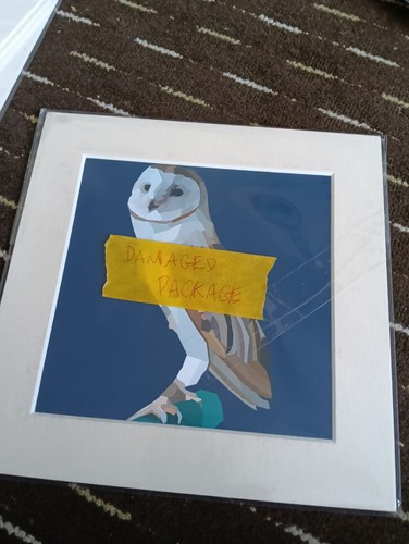 Barn owl art print - barn,