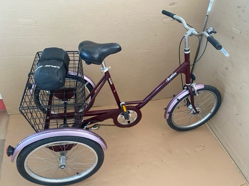 Pashley picador adult - pashley, tricycle