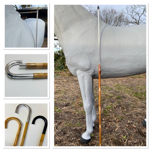 Horse measuring stick height - stick,