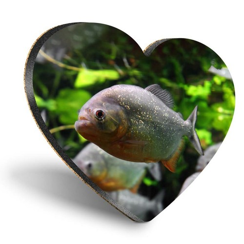Heart mdf coasters aquarium - heart,