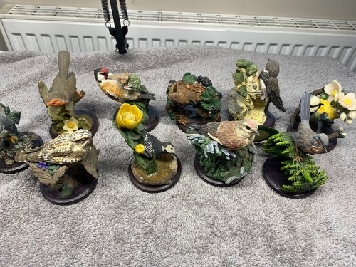 Oiseaux de collection - x,