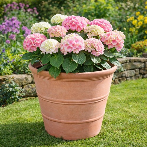 Jsh garden planter rustic - jsh,