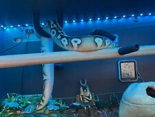 Snake Enrichment Climbing 3x