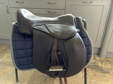 Heather Moffett Fheonix 17