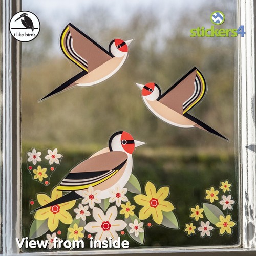 Like birds goldfinch - like,