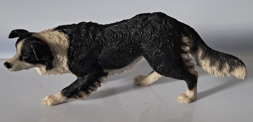 Border collie sheepdog - collie, classic