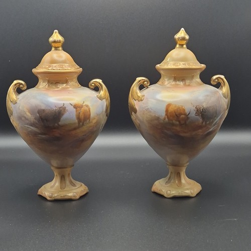 Pair co crown - s,