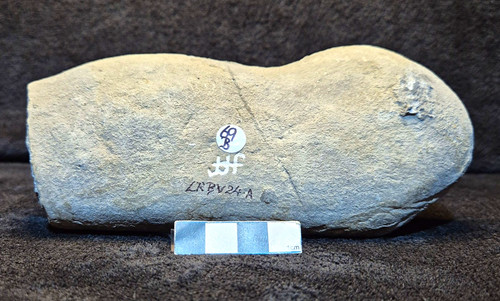 Topstone nodule - topstone,