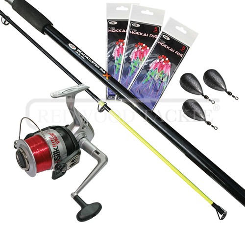 Sea fishing beachcaster - fishing,