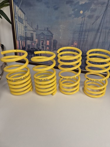 Apex 1070 lowering springs - lowering,