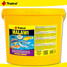 TROPICAL MALAWI MBUNA CICHLID