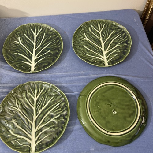 Olfaire cabbage leaf - 4,