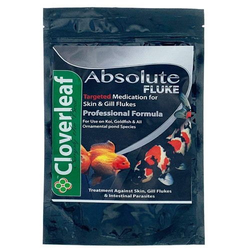 Cloverleaf koi pond - koi,