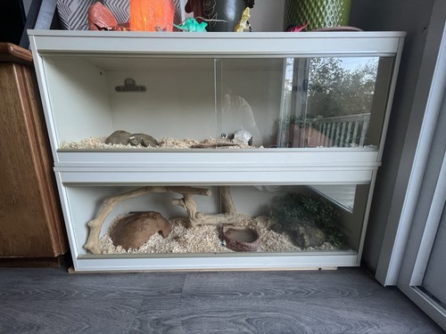 Vivarium 4ft 5ft 1 - 1.5ft, 1.5ft