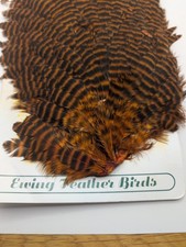 Ewing Hen Saddle Cape