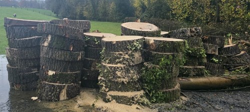 Large wood slices various - wood,