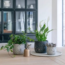 Alfie Terrazzo Planter