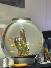 RE LISTED , BIORB 60L SILVER