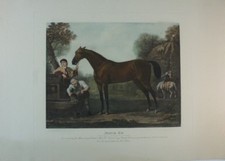 Match 'Em From the Original Picture by John Wootton Mes. Forums G-2707