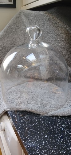 Extra large glass dome - large,
