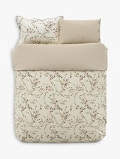 Bedeck of Belfast Rana Super