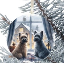 Cairn Terrier Dog Hanging