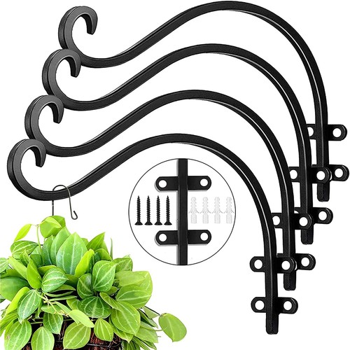 Wrought iron hanging basket - hanging,
