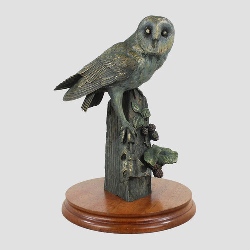 Barn owl border fine - barn, arts