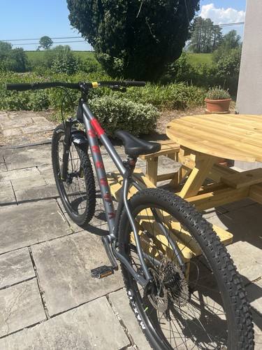 Mountain bike - mountain,