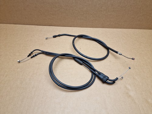 Triumph tiger 800 throttle - triumph,