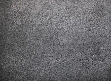 Turtle mat dirt trapper - turtle,